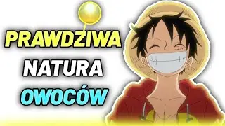 OM&Oacute;WIENIE ROZDZIAŁU ONE PIECE #37 ~ PRAWDZIWA NATURA OWOC&Oacute;W (Rozdział 1069)