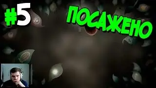 Прохождение Botanicula. ЧАСТЬ 5. ФИНАЛ. ПОСАЖЕНО [1080p]