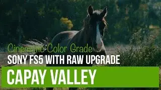Capay Valley FS5 Raw Upgrade Test - 