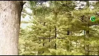 Beautiful Battagram KPK Pakistan