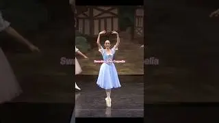 ROLES IVE PERFORMED #ballerina#ballet#dancer#roles#performance#casting#theater#guestartist#principal