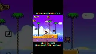 Essa ROM hack do Mario traz uma rivalidade entre amigos logo na fase Tropical Beginnings 1-1,