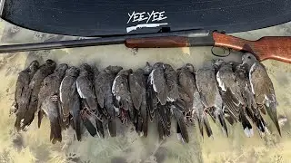 Arizona Dove Season 2025