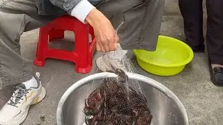 又到小龙虾的季节了#美食 #吃货推荐官 #food #cooking #fishing