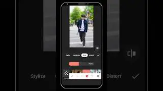 How to Blur Video Background Like DSLR Using Inshot
