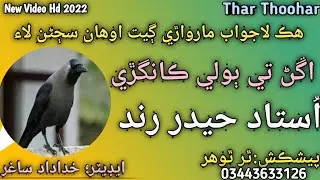 Hyder Rind Super Hit HD Song Zabrdast Marwadi Music Algoza Haider Rind Lajwab Kalam Hit Marwari Geet