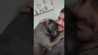 You can always lean on me Holly