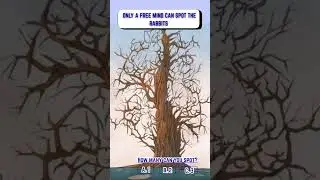 Mind calming puzzle #puzzles #games #quiz