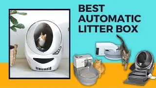 Best Self Cleaning Litter Box For Large Cats - Best Automatic Litter Box