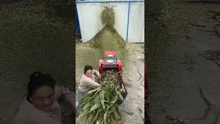 Advances in Agricultural Machinery for Sustainable Farming#agrifuture #machine
