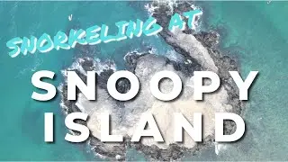 Snorkeling at Snoopy Island