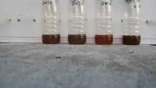 2012 -26C 0W-30 NGN Synergy Castrol SLX Addinol Fuchs Titan 2011-2012 Тюмень Сибирия
