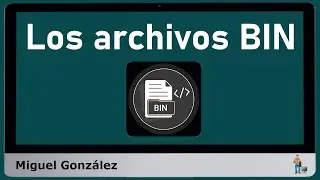 &iquest;C&oacute;mo abrir archivos BIN de diferentes formas?