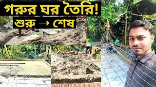 গরুর ঘর তৈরি শুরু থেকে শেষ পর্যন্ত | Cow Shed Construction | Sharif Agro