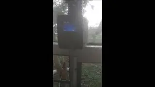 School Bus Access System Live demo with block unblock feature | Real Time SMS Alerts | SC-403 PRO