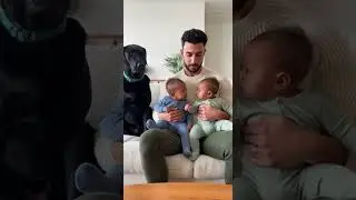 Little Ones Scuffle But The Dog Steals The Show 😂 #sweet #baby #funny #dog