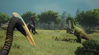 Amarga vs Hatz