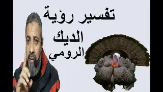 تفسير رؤية الديك الرومي للعزباء والمتزوجة والحامل والرجل في المنام/اسماعيل الجعبيري
