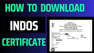 how to check indos issue date | how to download indos certificate dg shipping | @shipping updates