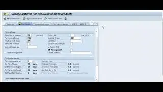 SAP Error | Status Blocked for Procmnt / Whse of material does not allow external procurement