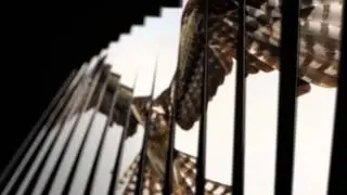PAL HOLDINGS | PAL Developments | PAL Investments - Corporate Video 1.