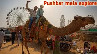 पुष्कर मेला 2025 | pushkar mela tour | Rajasthan pushkar mela | #vlog #pushkar #rajashthan #travel 