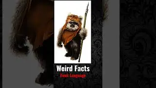 Star Wars Ewok Language a weird Facts #shorts