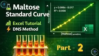 Maltose Standard Curve in Excel | Complete Calculation & Graph Tutorial (Part - 2)