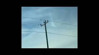 power lines in florida 7