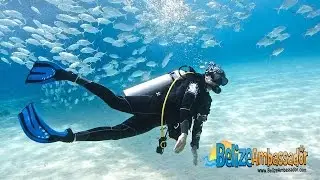 Best Scuba Diving Sites in Belize