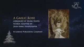 A Gaelic Rose