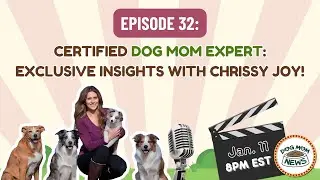 Dog Mom News LIVE! 🐾 Episode 32 with Chrissy Joy