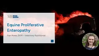 Equine Proliferative Enteropathy: Infection with Lawsonia intracellularis - Mad Barn - Vet Talk