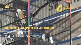 CENDET YANG KONSISTEN MENGISI DAFTAR JUARA