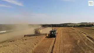 Fox Field Harvest 2019 NH CR 10.90