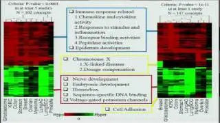 LRpath Analysis Reveals Common Pathways Dysregulated via DNA Methylation... - Maureen Sartor