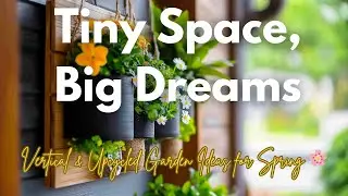 Tiny Space, Big Dreams: Vertical & Upcycled Garden Ideas for Spring 🌸