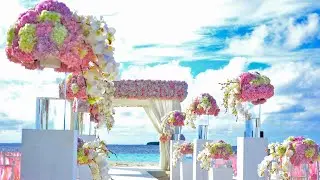 Beautiful Flower Wallpaper Free download