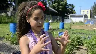 Hope Street Garden &ndash; Five Years Later