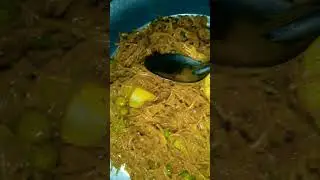 #shorts || #youtubeshorts #subscribe #viral #dinner @Sparsh sharma vlogs.