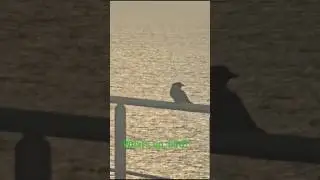 #coolmariners #marineservices #ship #oiltanker #ocean #marine #seafarers #sea #bird #tankership