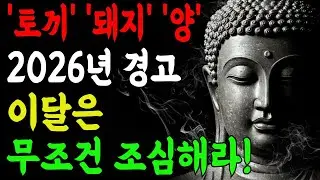 2026년 토끼띠·양띠·돼지띠, 지금 당장 달력 펴세요! '이 3달' 모르면 피눈물 흘립니다 I 부처님말씀 I 불교명언 I 석가모니 I 오디오북