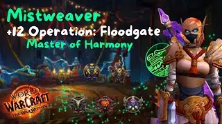 +12 Operation: Floodgate | Mistweaver | Season 3 The War Within