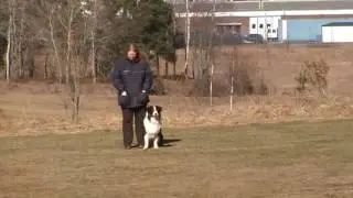 Nitro tr&auml;nar budf&ouml;ring
