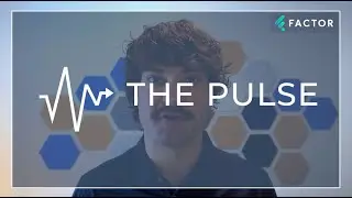 The Pulse Project Portfolio Management from Factor