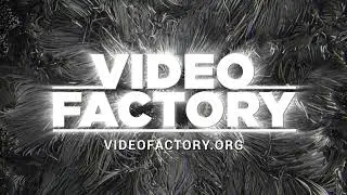 VideoFactory.org logovideo