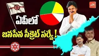 Pawan Kalyan Secret Survey | West Godavari | Janasena Vs TDP Vs YSRCP | YOYO TV Channel