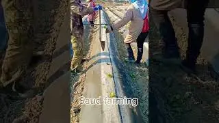 Modern farming