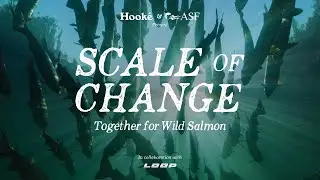 Scale of Change: Together for Wild Salmon [Official Teaser] - Hook&eacute; Films
