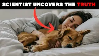 If You Sleep With Your Dog Every Night, THIS Will Happen